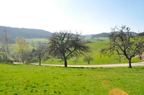Hostal Fehrenbacherhof Naturg�stehaus