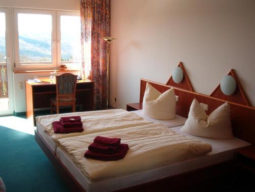 Hostal Hotel Und Gasthaus Rammelburg-blick