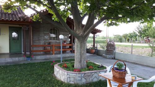 Platanos House