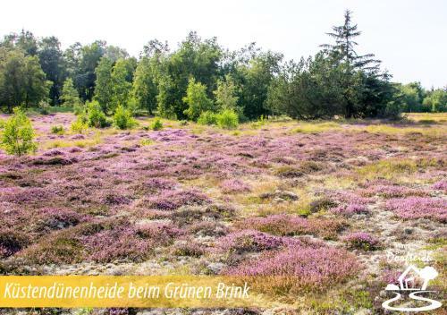 Apartamento Haus Am Dorfteich Fehmarn