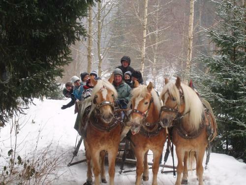 Flair-hotel Schwarzbeersch�nke