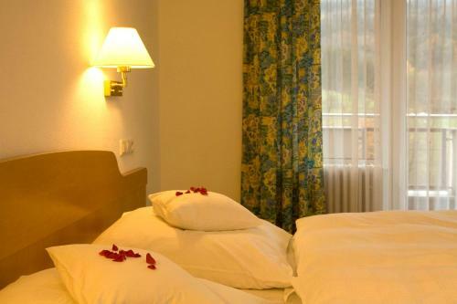 Hotel Landgasthof H�lzle