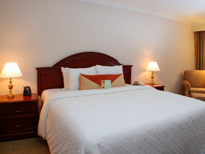 Hotel Hilton Garden Inn Monterrey