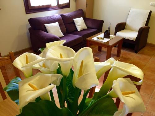 Apartamentos El Prad�n De Santa Marina