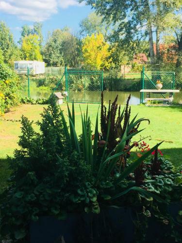 Apartm�n U Z�meck� Dyje