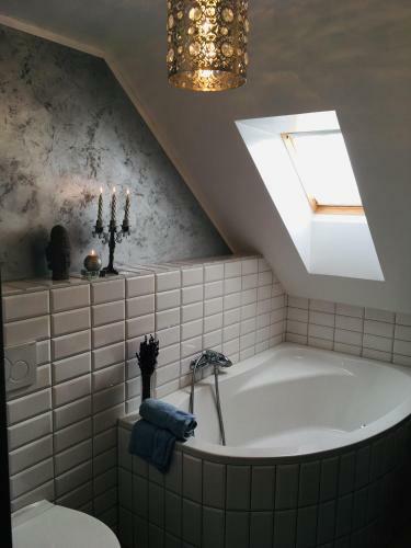 Apartm�n U Z�meck� Dyje
