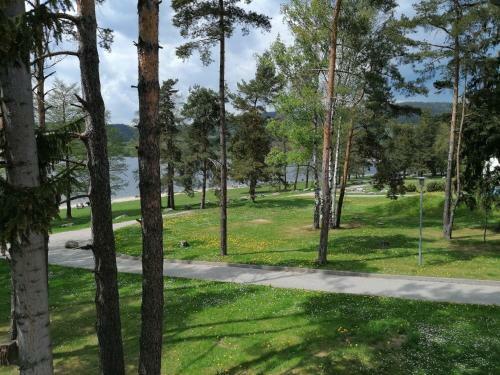 Apartment Riviera 503-7 Lipno Home