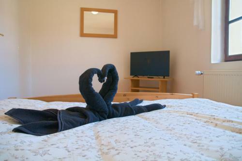 Hostal Penzion St?�brn� Lhota