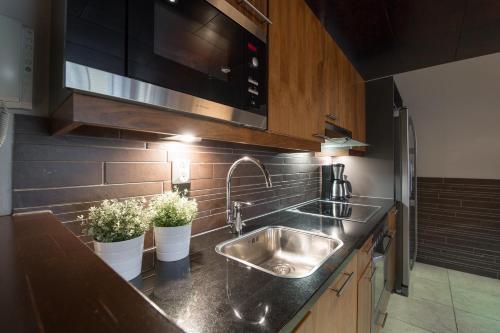 Apartamentos Tahko Spa Suite B3