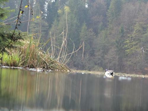 Apartamento Seerose-saissersee