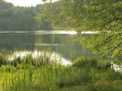Apartamento Seerose-saissersee