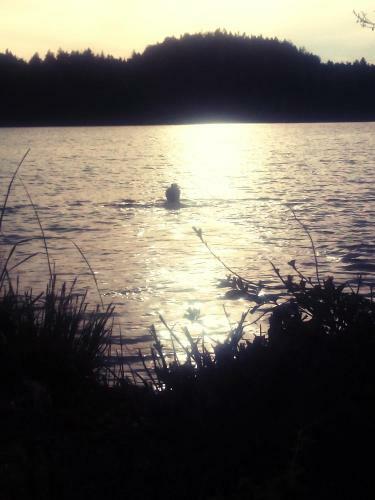 Apartamento Seerose-saissersee