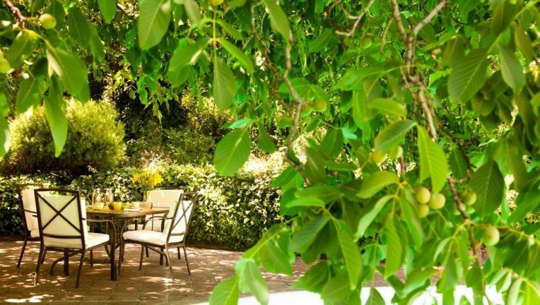 Hotel Lodge Andino