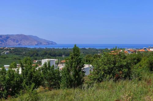 Holiday Home, Kavallos