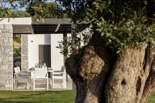Villa Amna Olive