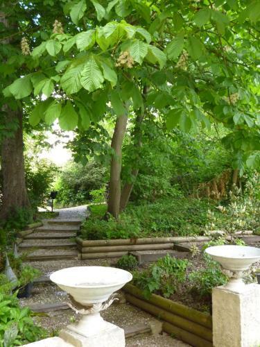 Bed & Breakfast Les Buis De Boscherville