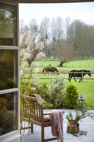 Bed & Breakfast Les Buis De Boscherville