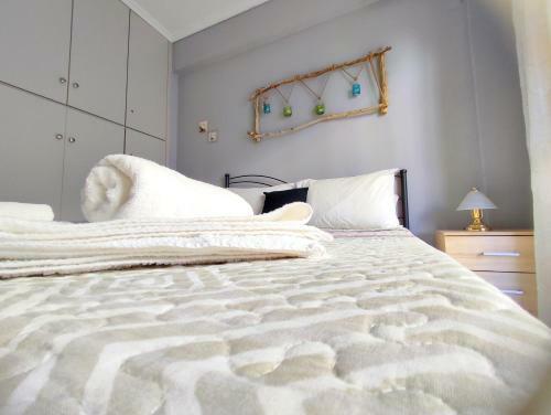 Driftwood Center Apartment