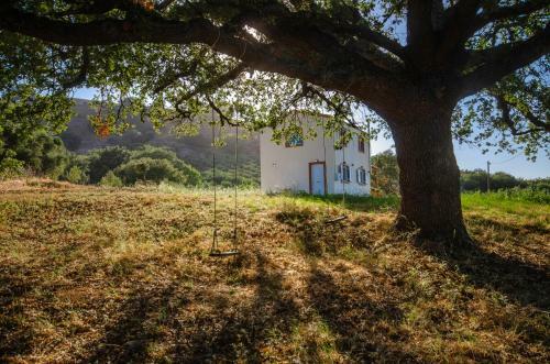 Villa Hedioni By Agroholidays