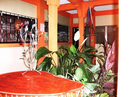 Hotel & Hostal Yaxkin Copan