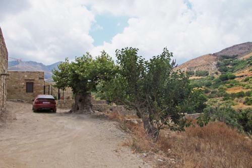 Agroturismo Petrakis Cretan Homes