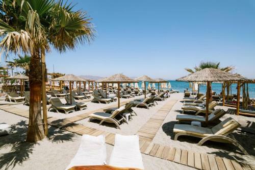 Hostal Jacksons Luxury Suites