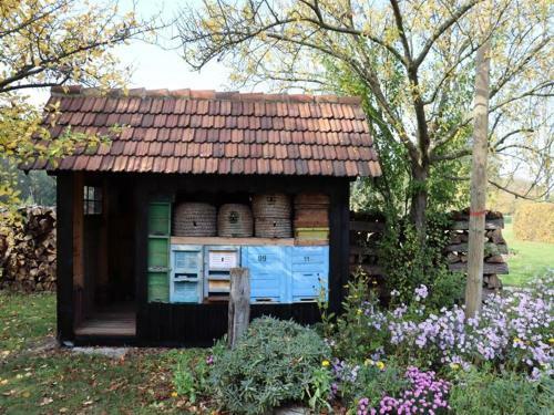 Apartamento Ferienwohnung Weidengrund Burg Kauper