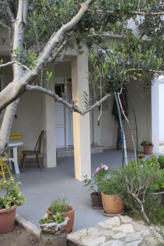 Apartments Biba & Lucy