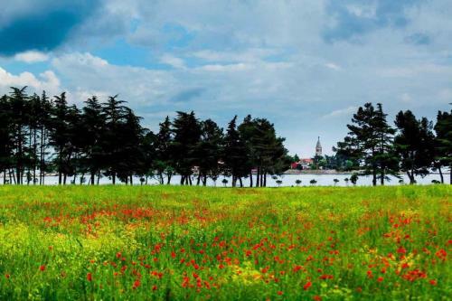 Holiday Home In Savudrija/istrien 27897