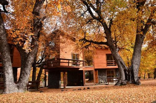 Lodge Caba�as Las Cabras