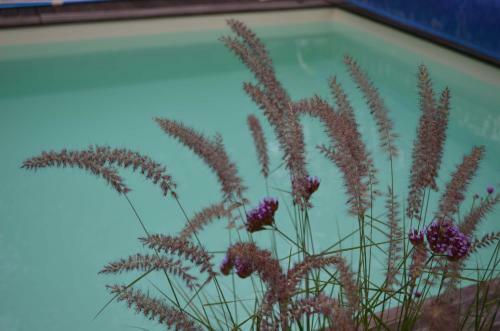 Bed & Breakfast Le Jardin Secret