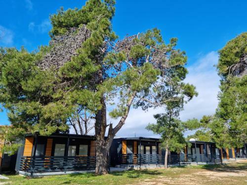 K9 Mobile Home Sand & Relax Privlaka