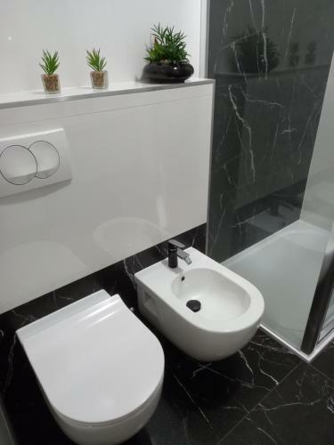 Apartmani Vesna Mili?a