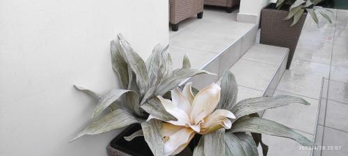 Apartamento Blue Eyes Villa