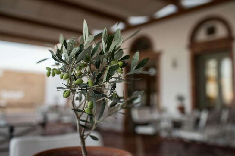 Hotel Porto Naxos
