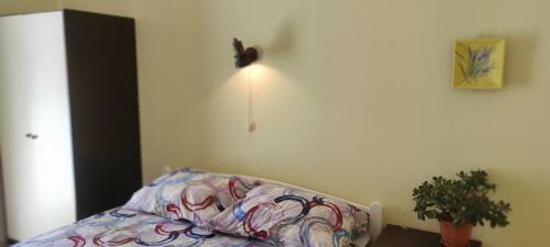 Beach House Apartments Stara Novalja