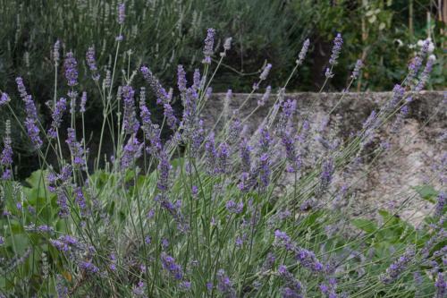 Apartmani Palmas Rijeka