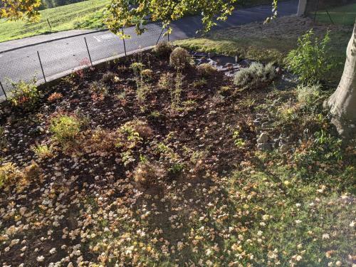 Apartamento Ferienwohnung L�cking Im Westerwald