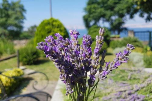 Apartamento La Perla Di Senj - Peaceful Appartment De Luxe