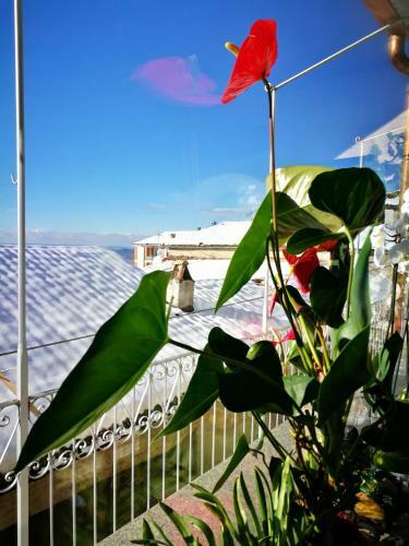 Bed & Breakfast Casaforte Alba In Langa