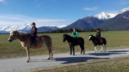 Agroturismo Schneiderhof