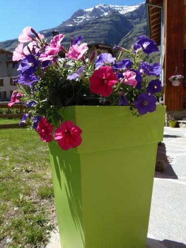 Apartamento Chalet L'aub�pine
