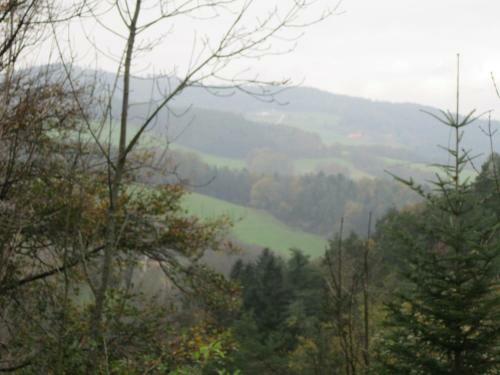 Hostal Waldpension Stachl