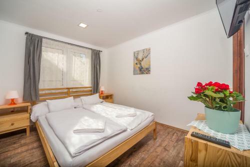 Hostal Villa Szilva Vend�gh�z
