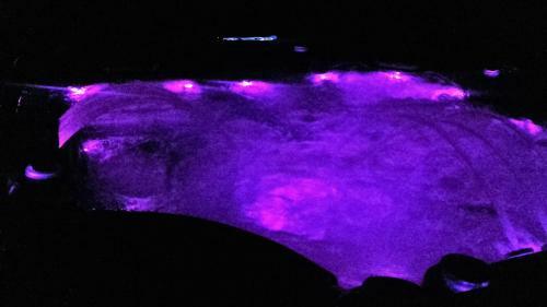 Villa Lavender Hill Hvar Spa