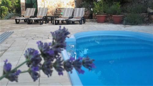 Villa Lavender Hill Hvar Spa