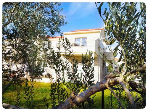 Apartment Nadoveza