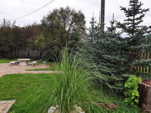 Apartamento Hegyalja Vend�gh�z