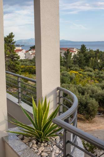 Hostal Ivmalu Apartments