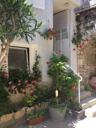 Apartmani Vela Luka